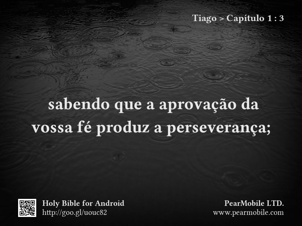 Tiago, Capítulo 1:3